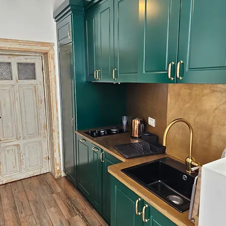 公寓 Lascar Catargiu *